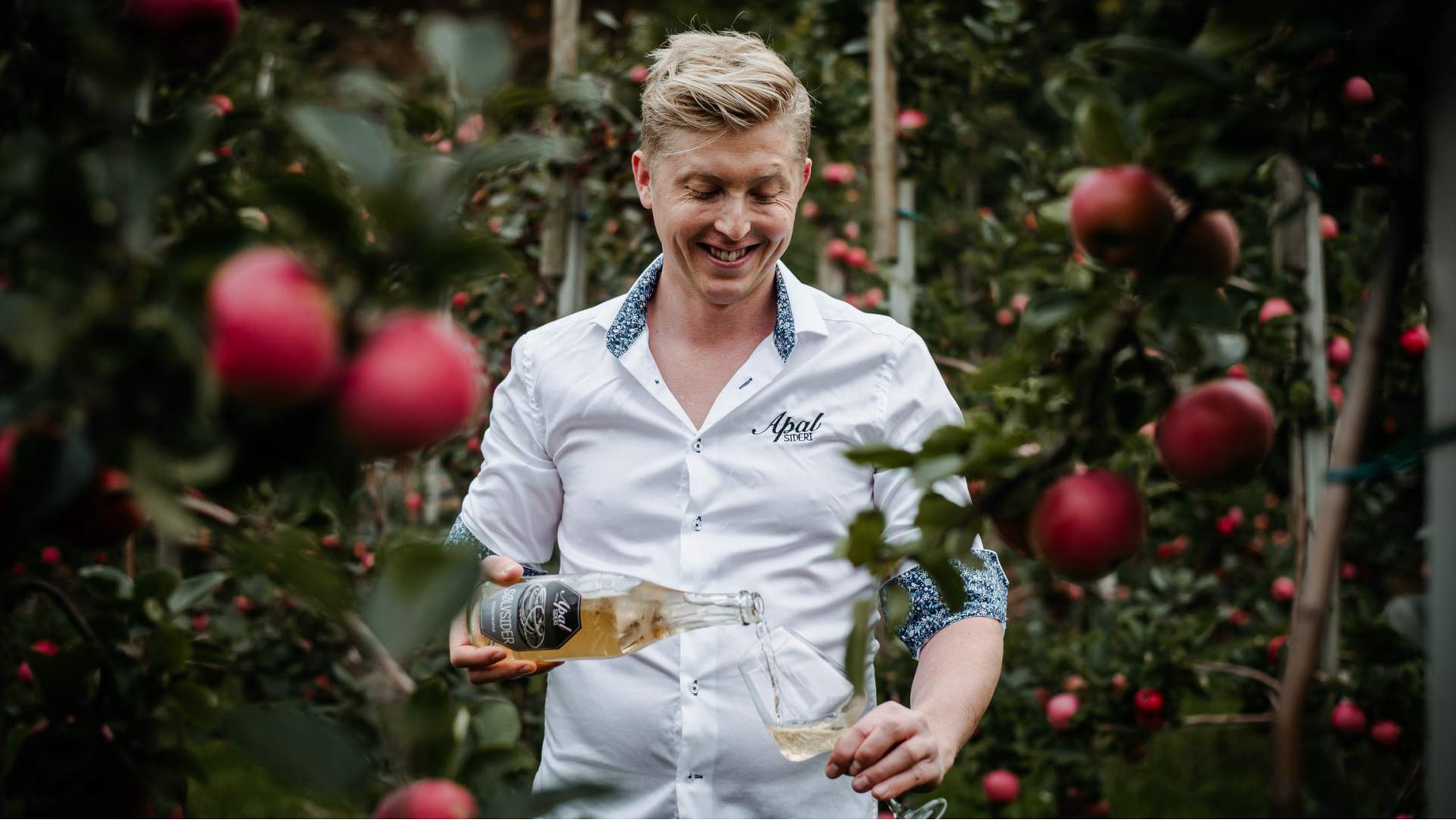 Cider tasting in Ryfylke.