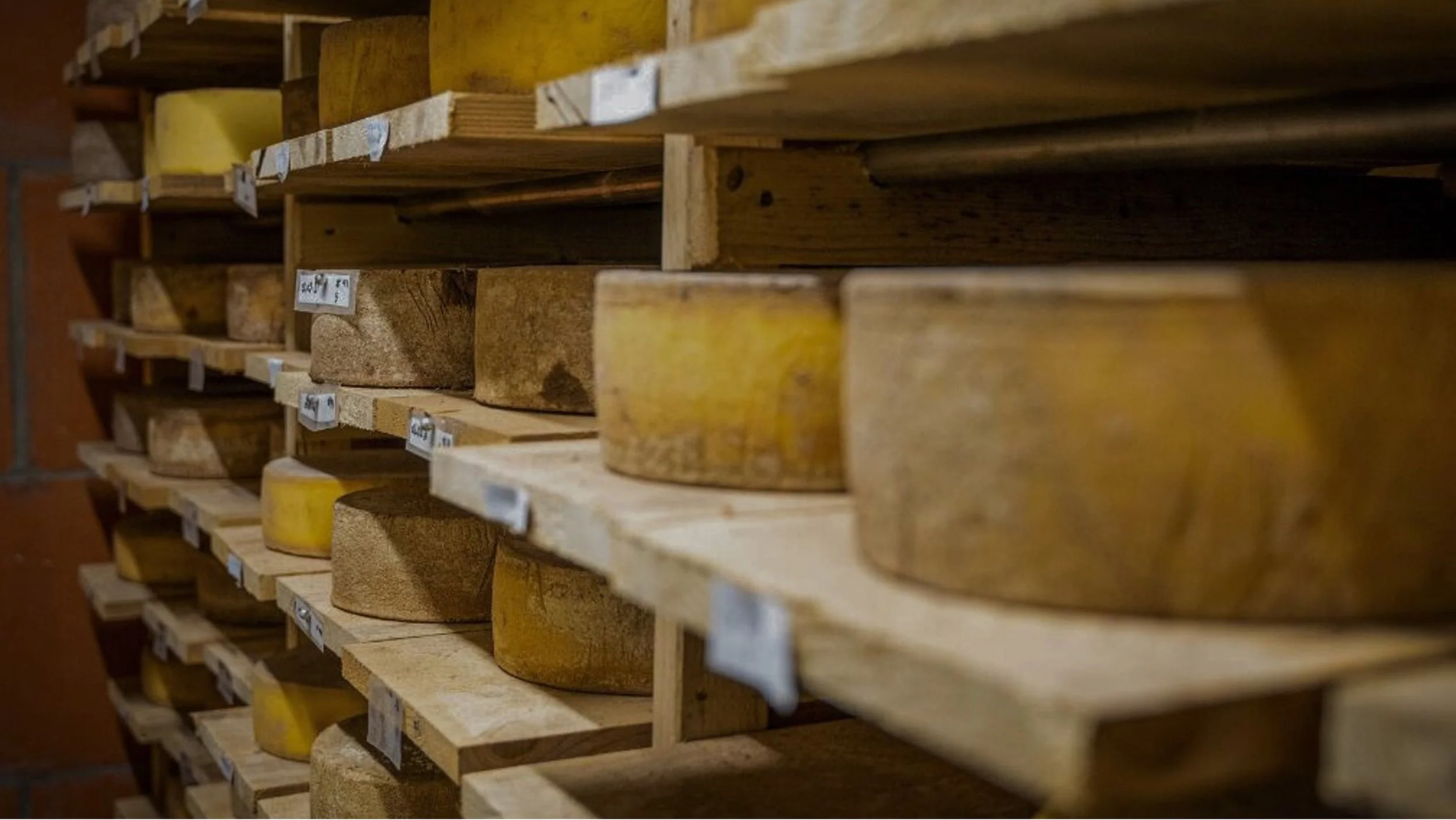 World Class Cheese from Ryfylke Gardsysteri in Hjelmeland